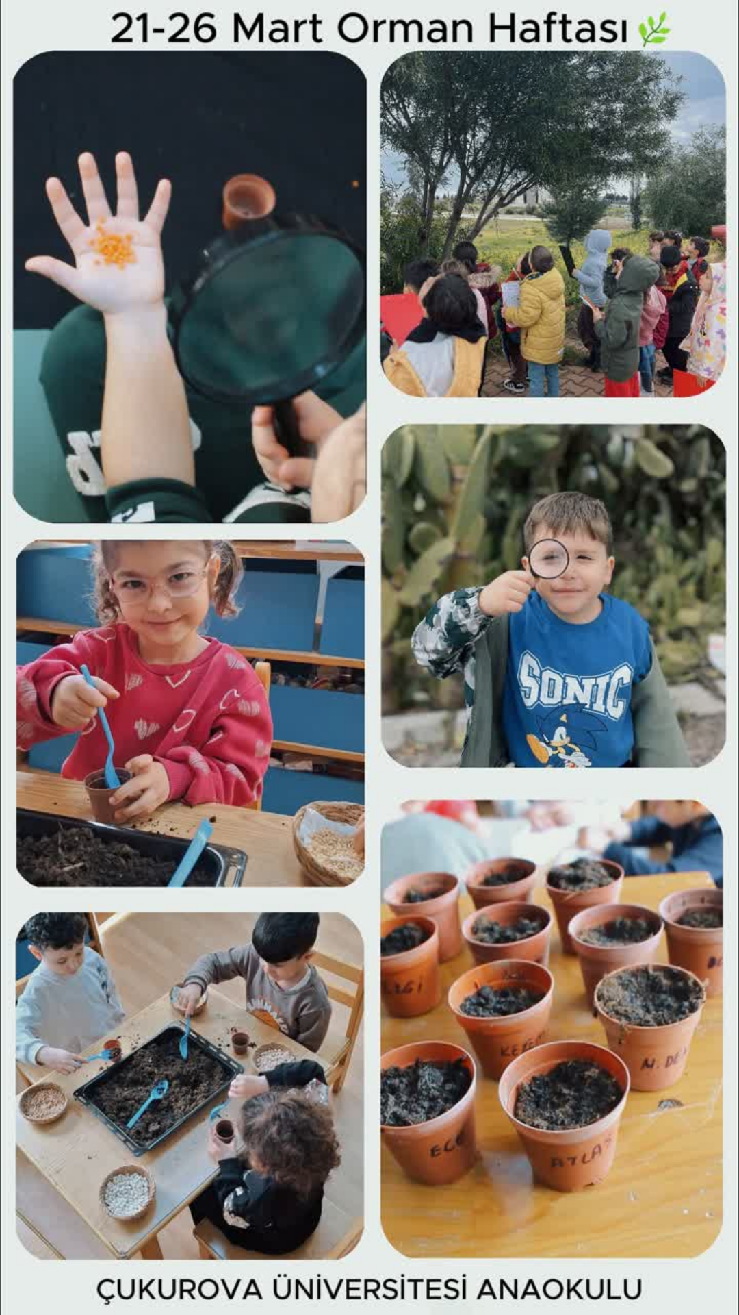 21–26 Mart Orman Haftası Etkinliklerimiz